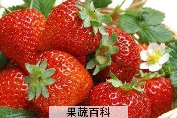 哪些人不宜吃草莓 吃草莓的禁忌