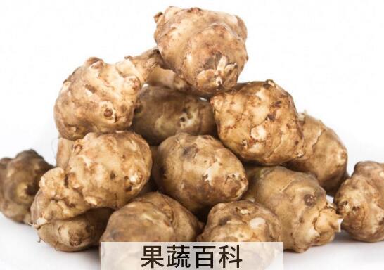 菊芋的功效与作用