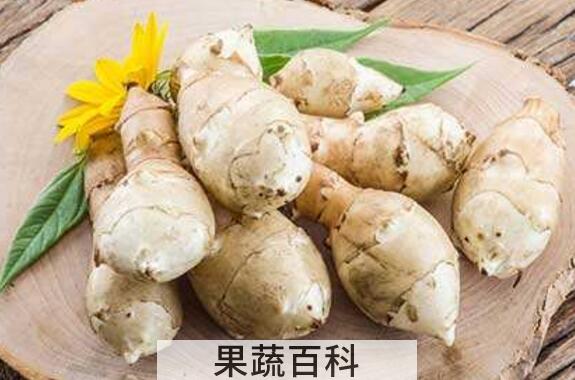 菊芋的功效与作用
