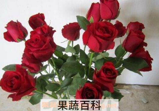 摘下来的花怎样保存 鲜花怎么保存时间长