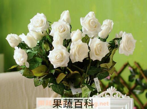 摘下来的花怎样保存 鲜花怎么保存时间长