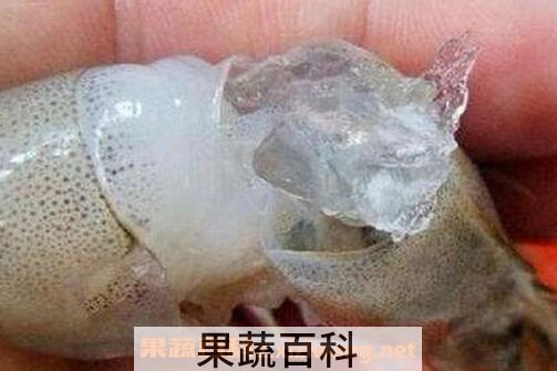 注胶虾怎么分辨 