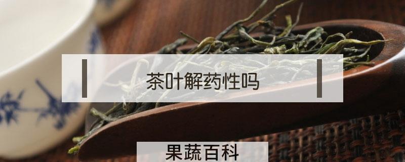 茶叶解药性吗