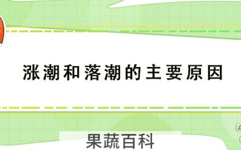 涨潮和落潮的主要原因