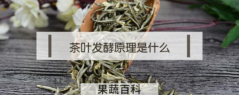 茶叶发酵原理是什么