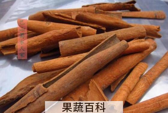 桂通和桂皮的区别 桂通的功效与作用