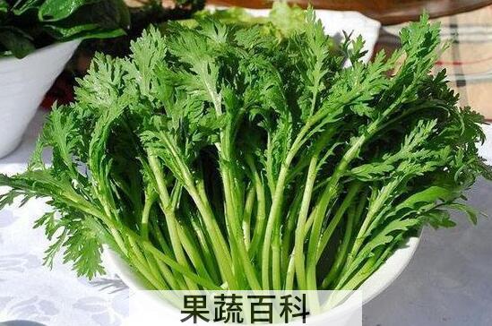 药茼蒿的功效与作用 药茼蒿怎么吃