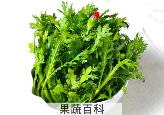 药茼蒿的功效与作用 药茼蒿怎么吃