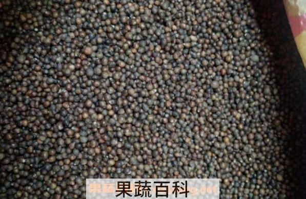黄荆子枕头的危害有哪些 黄荆子枕头好吗
