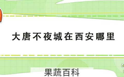 大唐不夜城在西安哪里