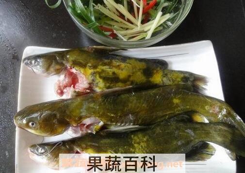 黄骨鱼是什么鱼