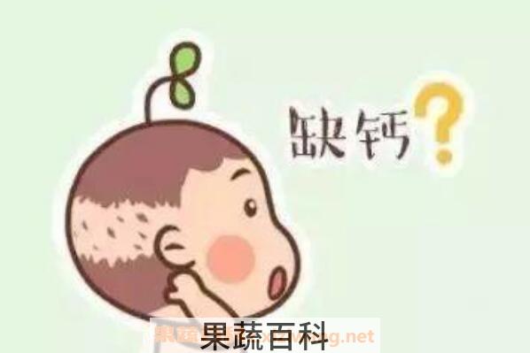 儿童缺钙的症状有哪些 女人缺钙的症状有哪些