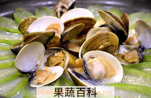 花蛤怎么去沙子