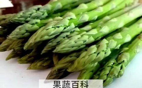绿芦笋怎么清洗 绿芦笋怎么做好吃