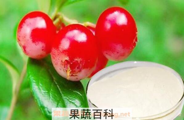 熊果苷的功效与作用