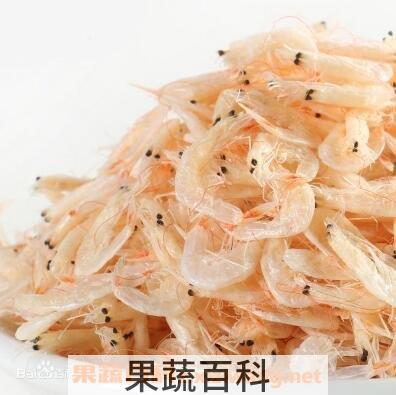 淡虾皮