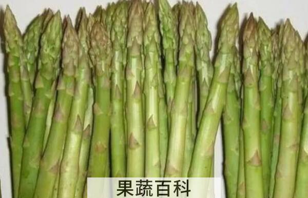 紫芦笋和绿芦笋的区别 吃紫芦笋的好处