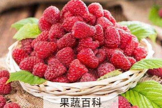 覆盆子和树莓的区别 吃覆盆子的好处