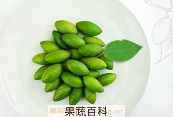 角鲨烷的功效与作用