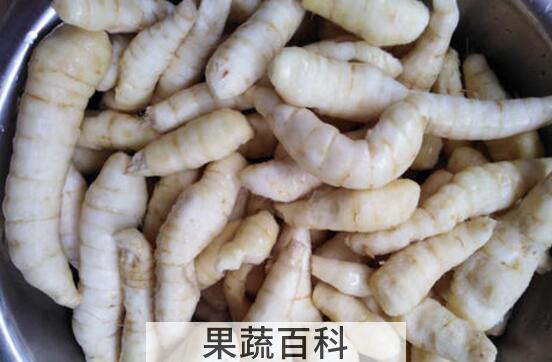 竹芋薯的功效与禁忌 竹芋薯什么人不能吃