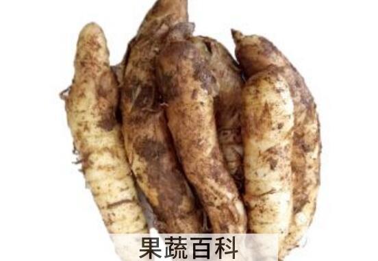 竹芋薯的功效与禁忌 竹芋薯什么人不能吃