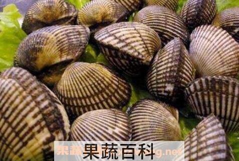 毛蚶怎么吃 