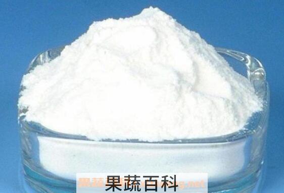 水苏糖的功效与作用