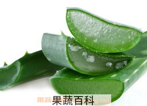 新鲜芦荟涂脸正确方法