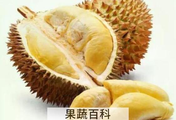 女性吃榴莲最佳时间 女性吃榴莲的好处