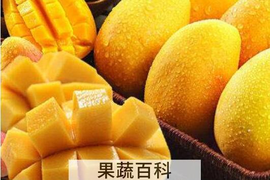女人吃芒果的好处和坏处