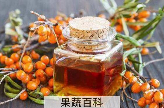沙棘籽油的用途和用法