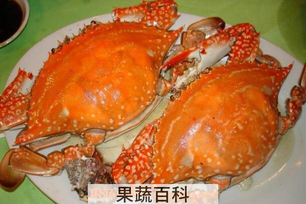 梭子蟹