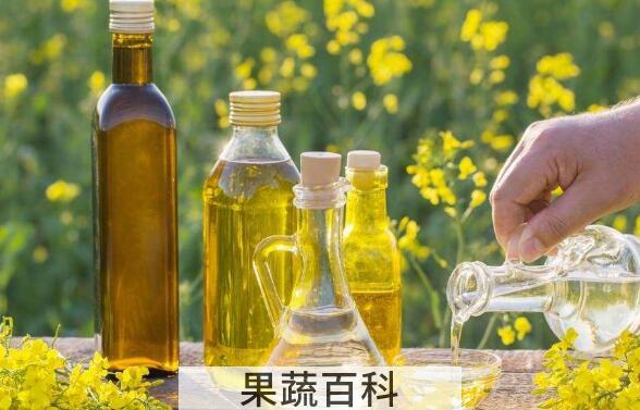 茶花油的功效与作用及食用方法