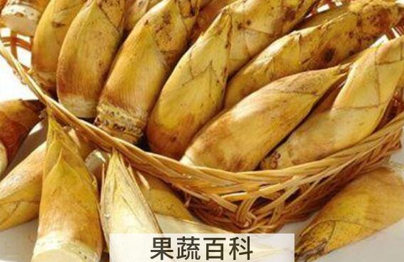 冬笋粉的功效和作用 冬笋粉的用途