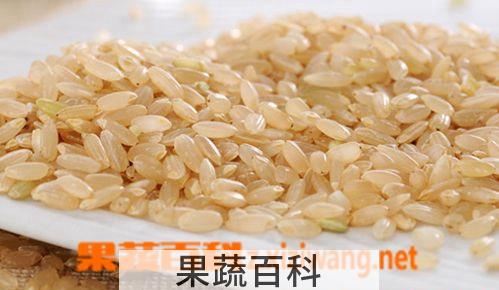 果蔬百科糙米的营养价值 糙米吃法
