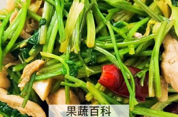 十香菜怎么做好吃 十香菜的做法大全集