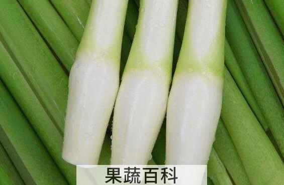 茭白的功效与作用及禁忌