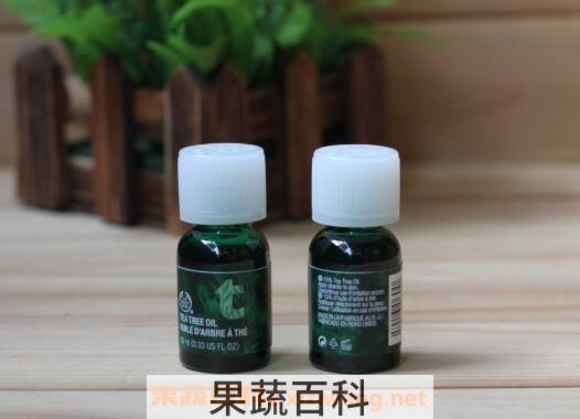 茶树精油的功效与作用 茶树精油怎么用