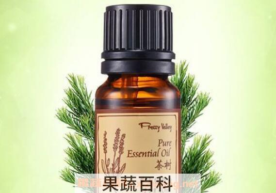 茶树精油的功效与作用 茶树精油怎么用