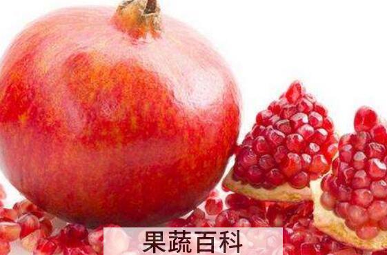 酸石榴煮水功效和作用