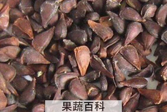 木瓜籽怎么吃 木瓜籽的正确吃法