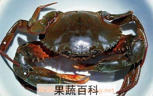 青蟹