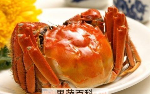 大闸蟹的功效与作用 大闸蟹的营养价值