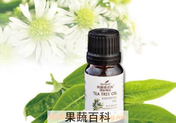 茶树精油有哪些功效 茶树精油有哪些作用