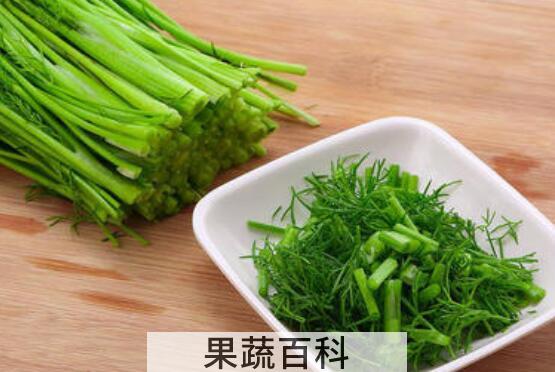小茴香菜腌制保存方法