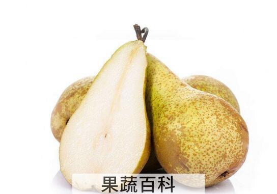 啤梨怎么吃 啤梨的食用方法
