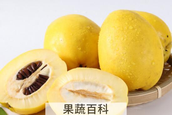 酸木瓜三七泡酒的功效