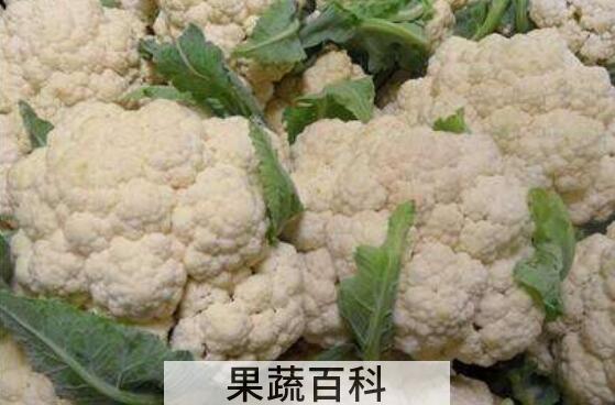 菜花有什么作用与功效