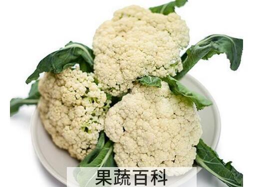 白菜花的功效与作用