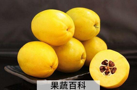 酸木瓜拐枣泡酒的功效与作用